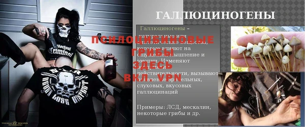 а пвп мука Абаза