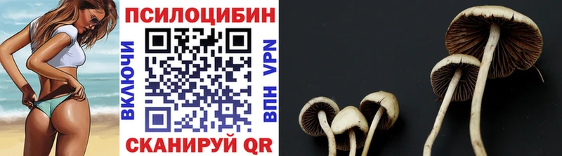 Галлюциногенные грибы MAGIC MUSHROOMS  Сураж 